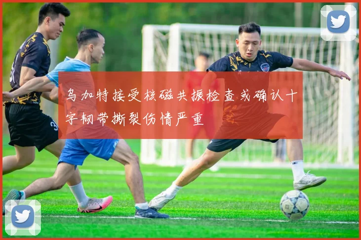 乌加特接受核磁共振检查或确认十字韧带撕裂伤情严重