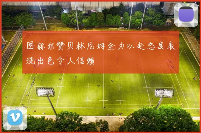 图赫尔赞贝林厄姆全力以赴态度表现出色令人信赖
