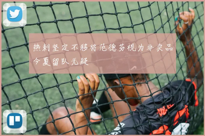 热刺坚定不移将范德芬视为非卖品今夏留队无疑